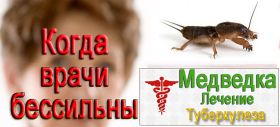 Лечение медведками Лечение медведками